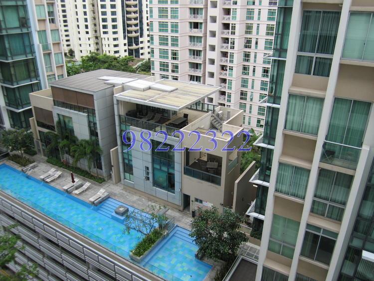 Zenith (D10), Apartment #140066842